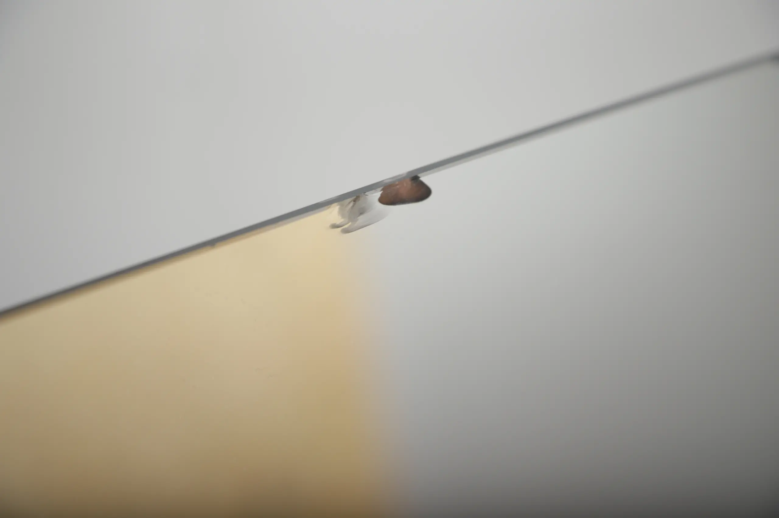 Sminkebord, palisander, Svend Aage Madsen