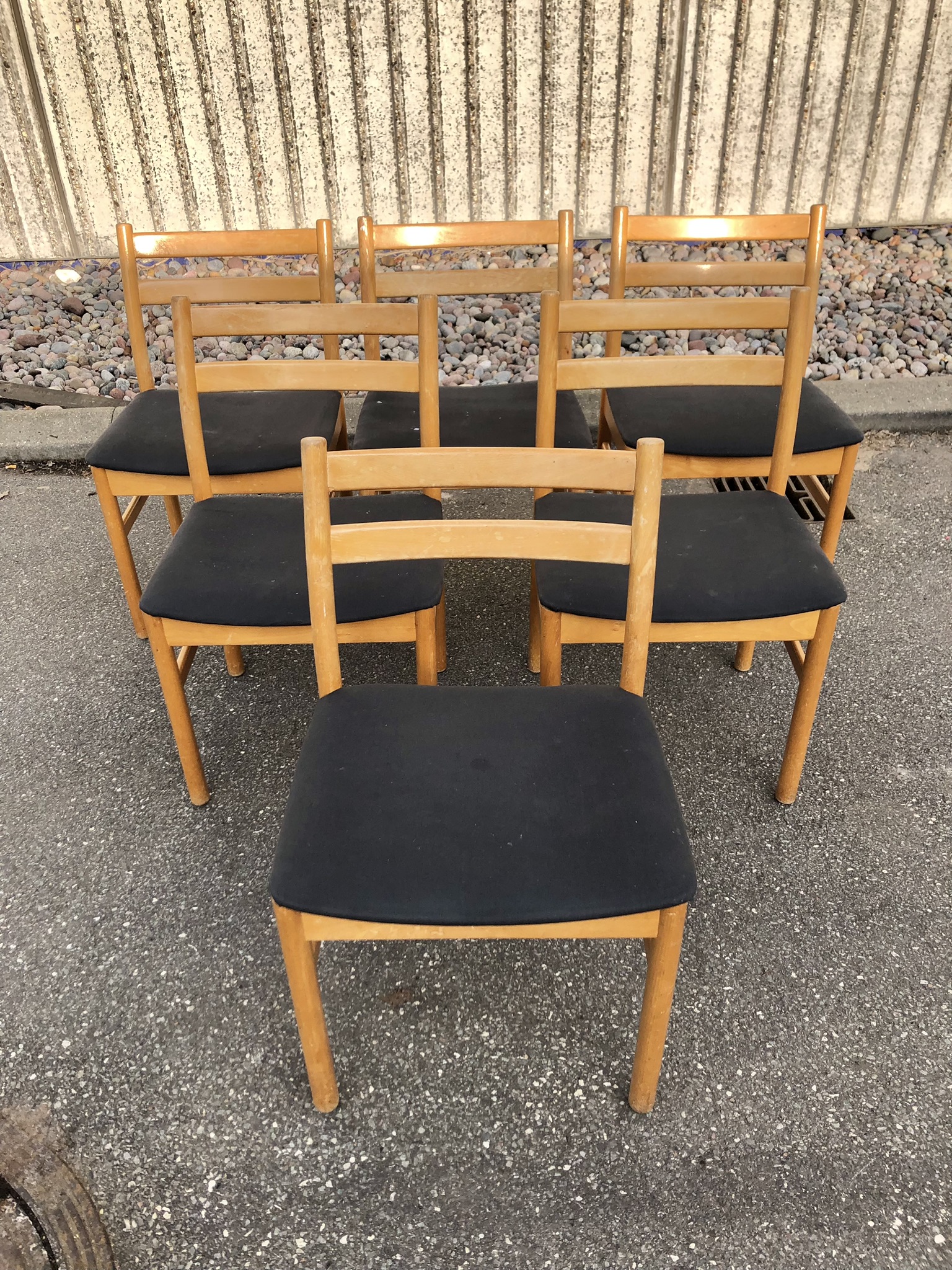 Seks spisestole i massiv bøgetræ